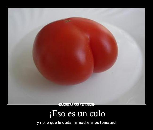 ¡Eso es un culo - y no lo que le quita mi madre a los tomates!