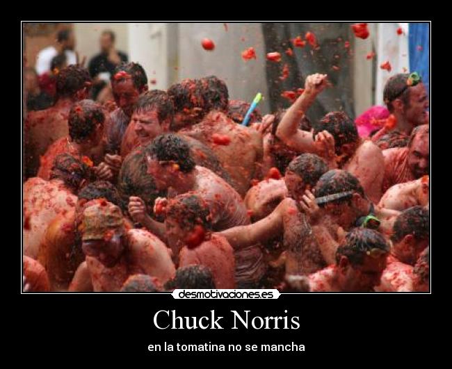 Chuck Norris - en la tomatina no se mancha