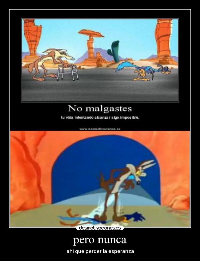 carteles para los que siguen algo nunca pierdan desmotivaciones