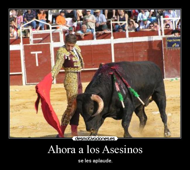 Ahora a los Asesinos -