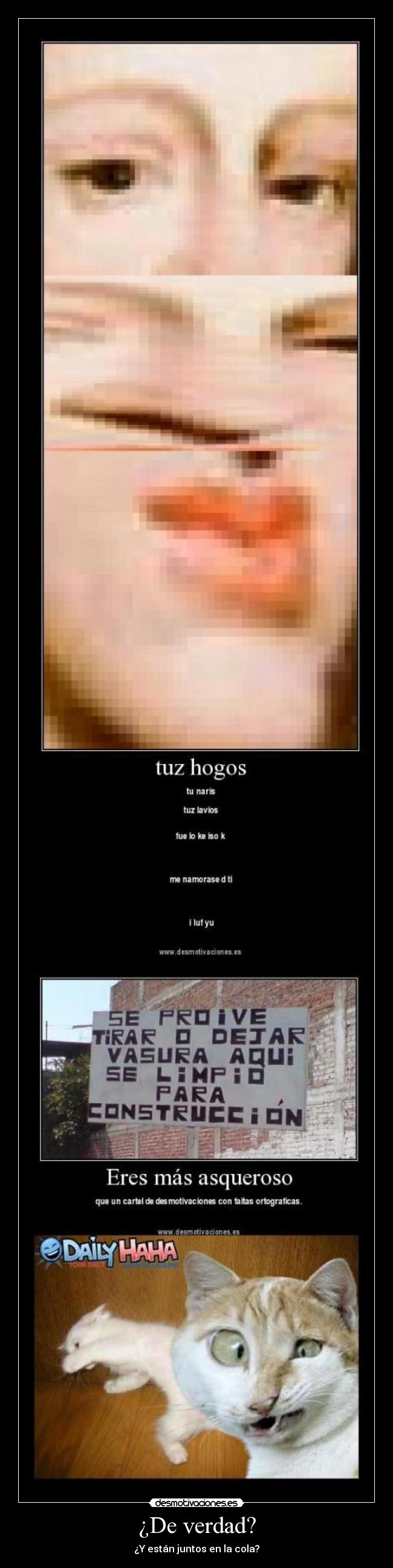 carteles hasta los gatos flipan desmotivaciones
