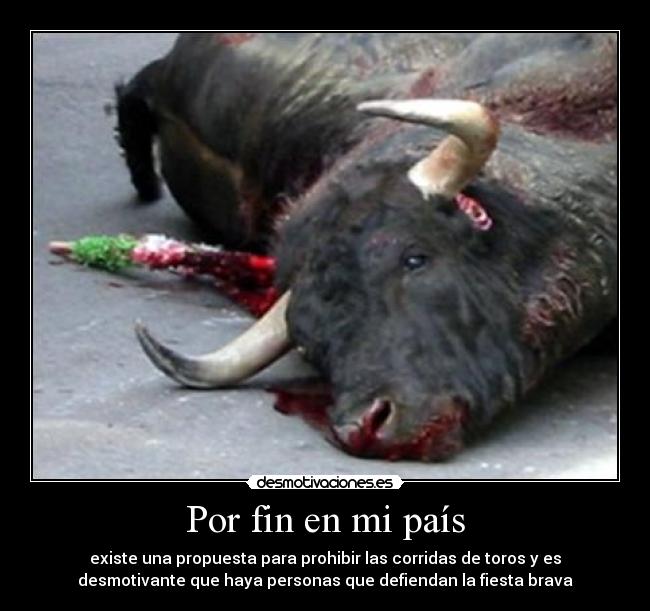 Por fin en mi país - 