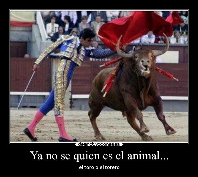 Ya no se quien es el animal... - 