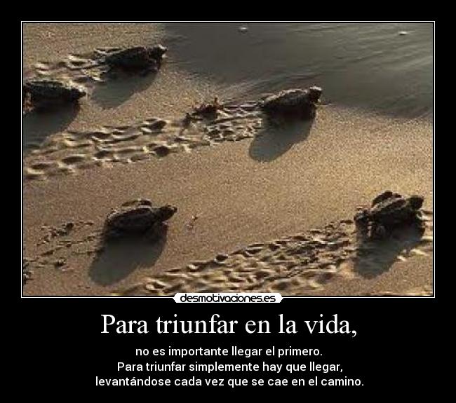 Para triunfar en la vida, - no es importante llegar el primero.
 Para triunfar simplemente hay que llegar,
 levantándose cada vez que se cae en el camino.