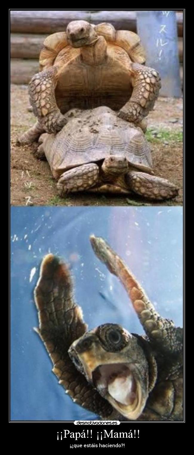 ¡¡Papá!! ¡¡Mamá!! - ¡¿que estáis haciendo?!