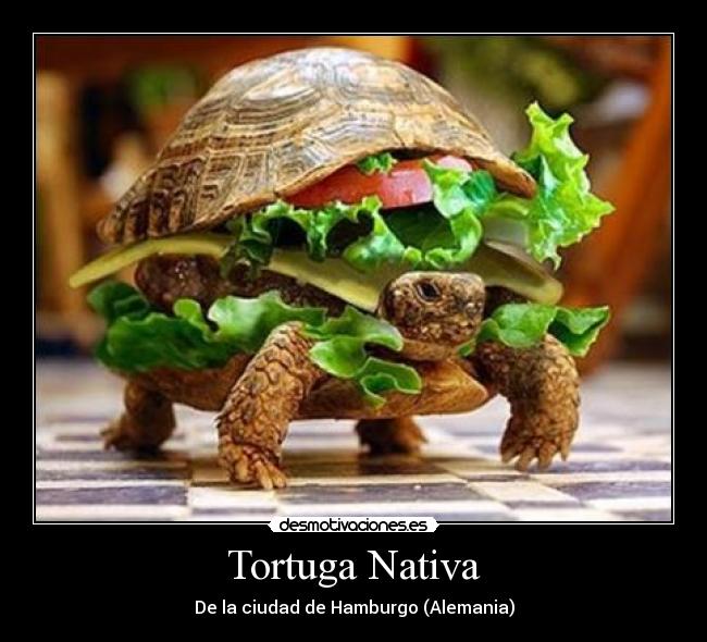 Tortuga Nativa -