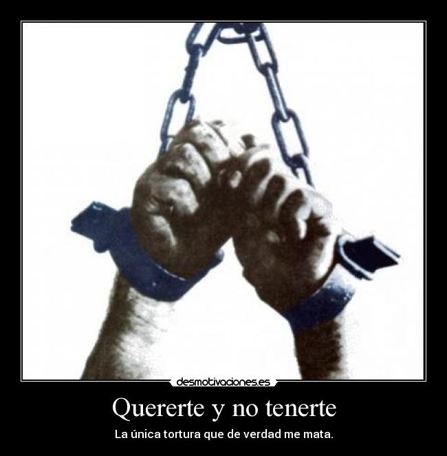 Quererte y no tenerte - 