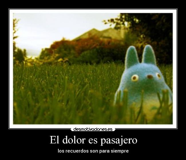 carteles dolor totoro amor dolor pasajero campo recuerdos desmotivaciones