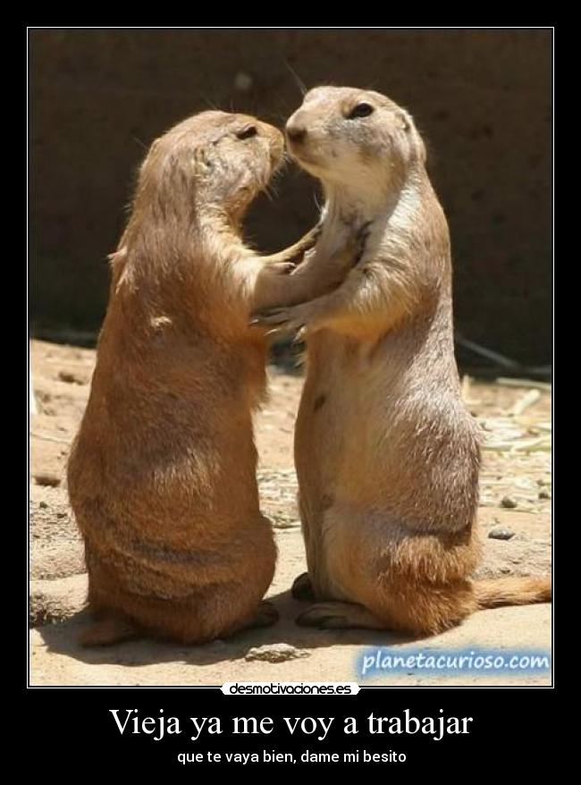 Vieja ya me voy a trabajar - que te vaya bien, dame mi besito