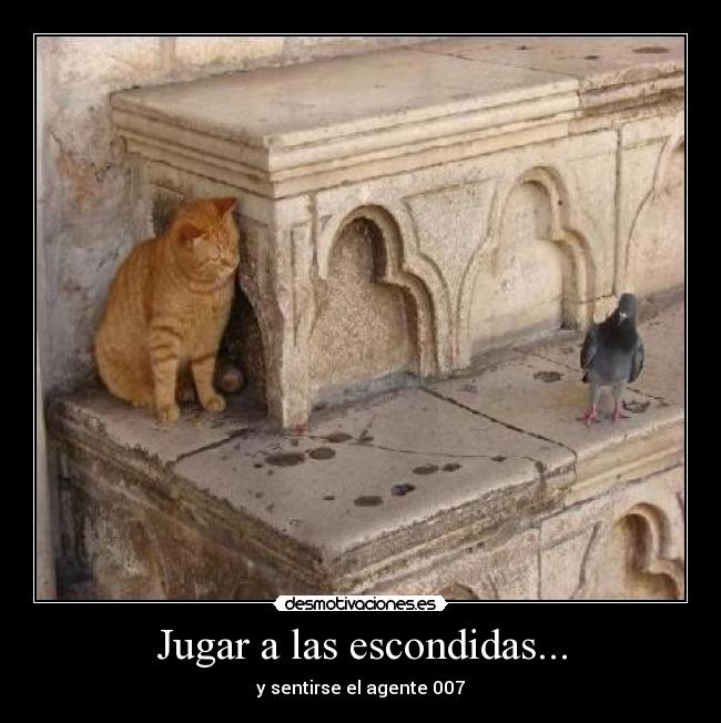 Jugar a las escondidas... - 