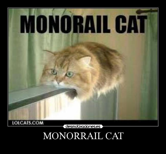 MONORRAIL CAT -