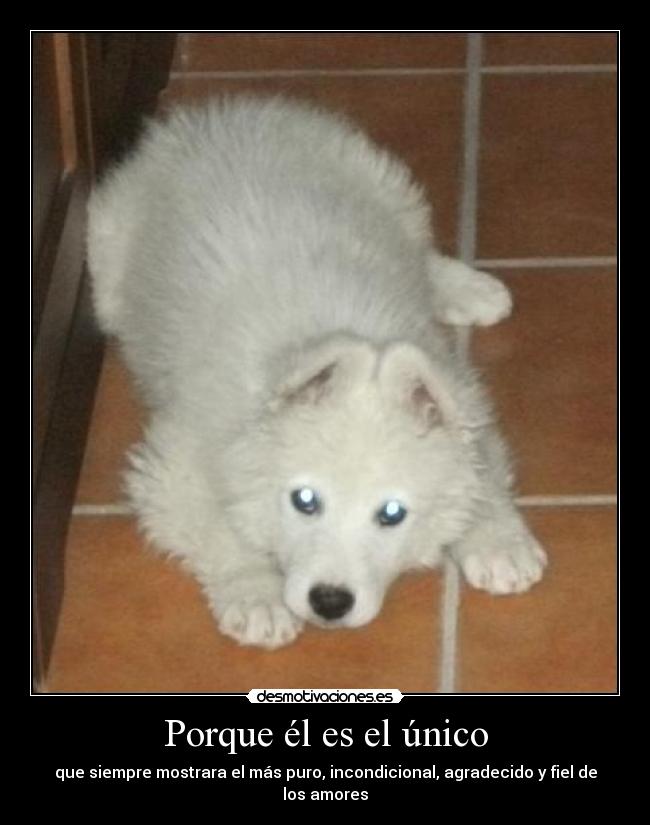 Porque él es el único -
