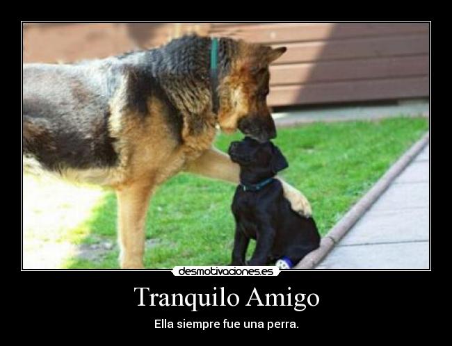 Tranquilo Amigo - Ella siempre fue una perra.
