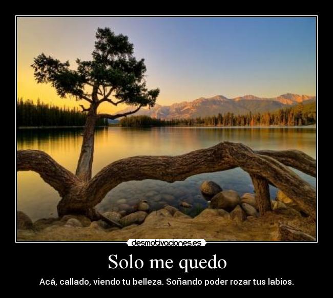 Solo me quedo - Acá, callado, viendo tu belleza. Soñando poder rozar tus labios.
