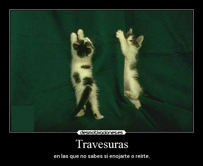 carteles que lindos desmotivaciones