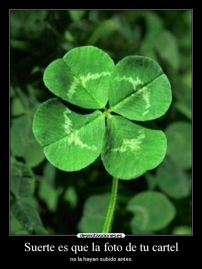 carteles elmasanonimo desmotivaciones