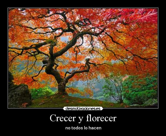 Crecer y florecer - no todos lo hacen