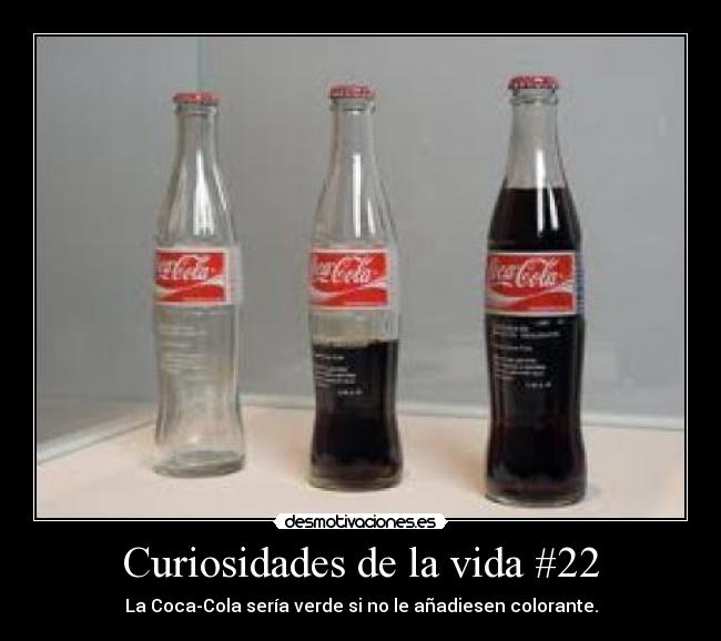 Curiosidades de la vida #22 -
