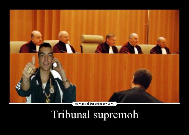 carteles alwayscool tribunal supremoh elclanviral tonteria vida cani cani cani desmotivaciones