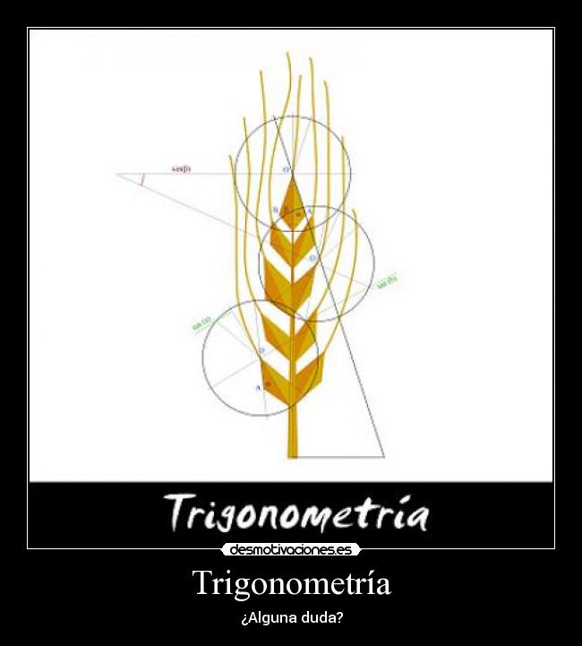 Trigonometría - ¿Alguna duda?