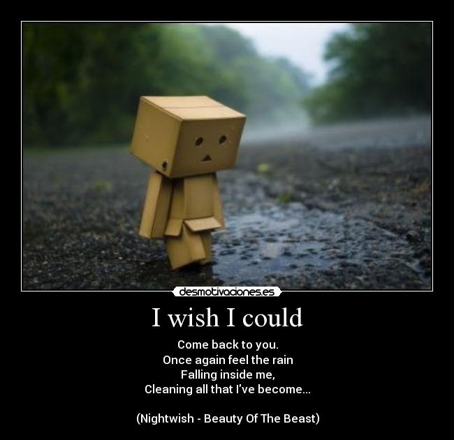 I wish I could - Come back to you.
Once again feel the rain
Falling inside me,
Cleaning all that Ive become...
(Nightwish - Beauty Of The Beast)