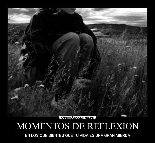 MOMENTOS DE REFLEXION -