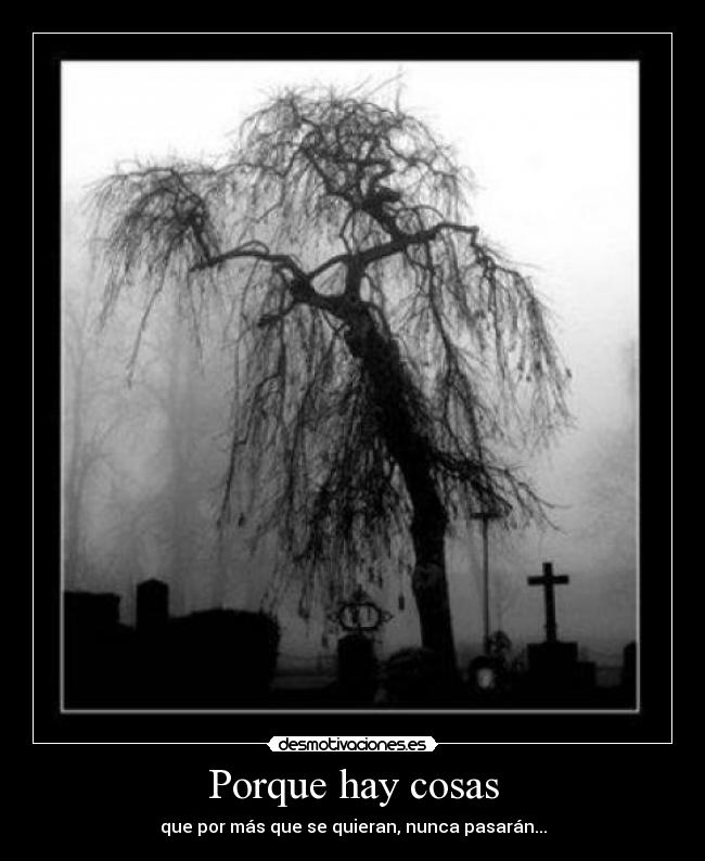 Porque hay cosas - que por más que se quieran, nunca pasarán...