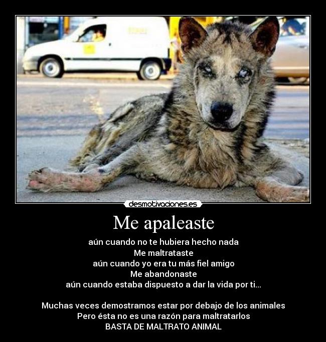 Me apaleaste - aún cuando no te hubiera hecho nada
Me maltrataste
aún cuando yo era tu más fiel amigo
Me abandonaste
aún cuando estaba dispuesto a dar la vida por ti...

Muchas veces demostramos estar por debajo de los animales
Pero ésta no es una razón para maltratarlos
BASTA DE MALTRATO ANIMAL