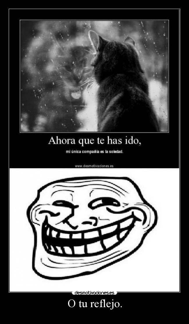 O tu reflejo. -