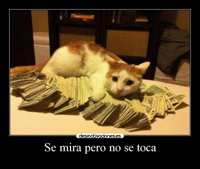 Se mira pero no se toca -