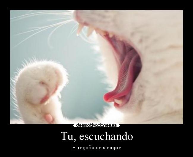 Tu, escuchando - El regaño de siempre
