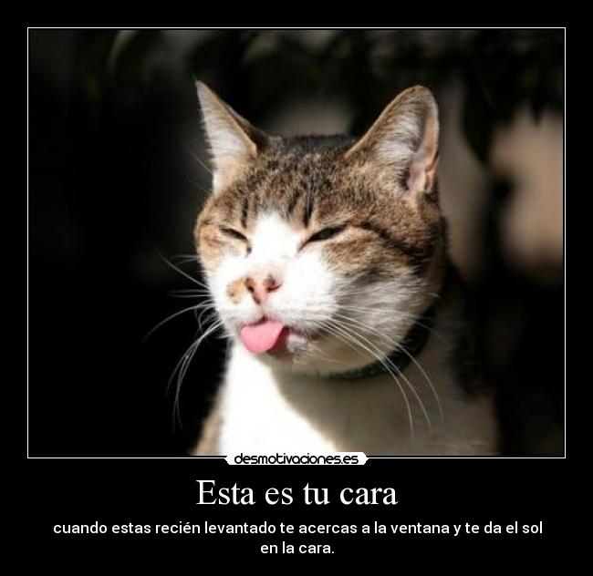 Esta es tu cara - cuando estas recién levantado te acercas a la ventana y te da el sol en la cara.