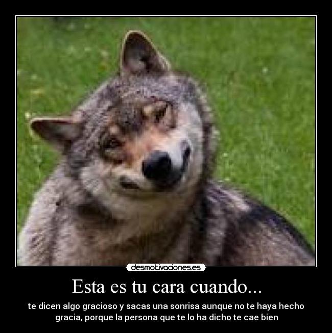 Esta es tu cara cuando... -