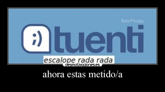 ahora estas metido/a -