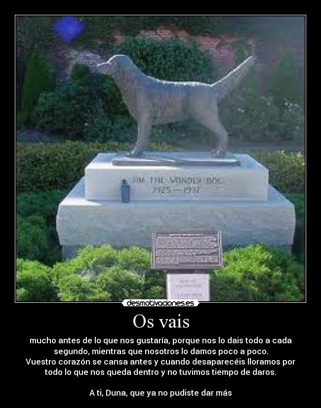 Os vais - mucho antes de lo que nos gustaría, porque nos lo dais todo a cada
segundo, mientras que nosotros lo damos poco a poco.
Vuestro corazón se cansa antes y cuando desaparecéis lloramos por
todo lo que nos queda dentro y no tuvimos tiempo de daros.
A ti, Duna, que ya no pudiste dar más