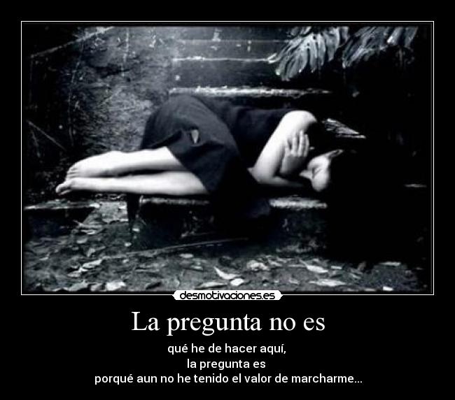 carteles pregunta que deaun tenido valor marchar hacer aqui pregunta  desmotivaciones