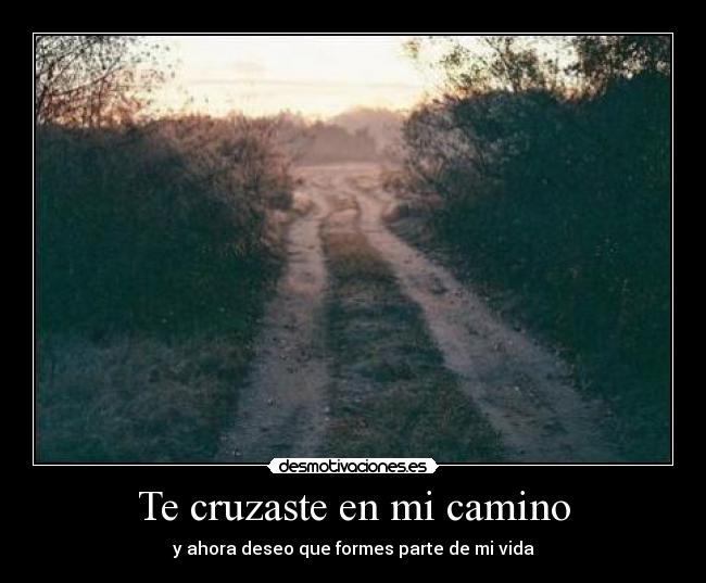Te cruzaste en mi camino -