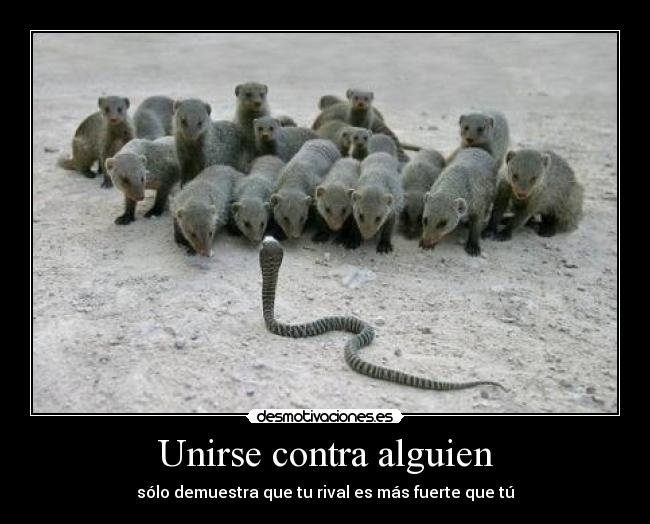 Unirse contra alguien -