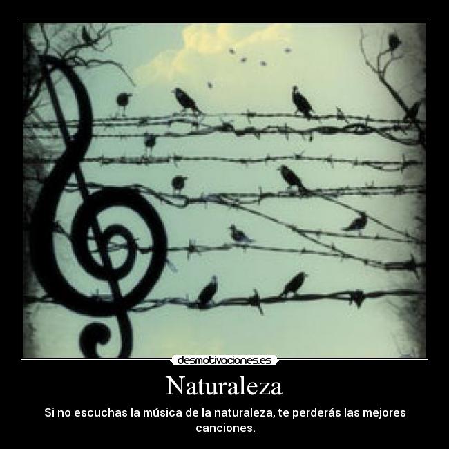 Naturaleza - 