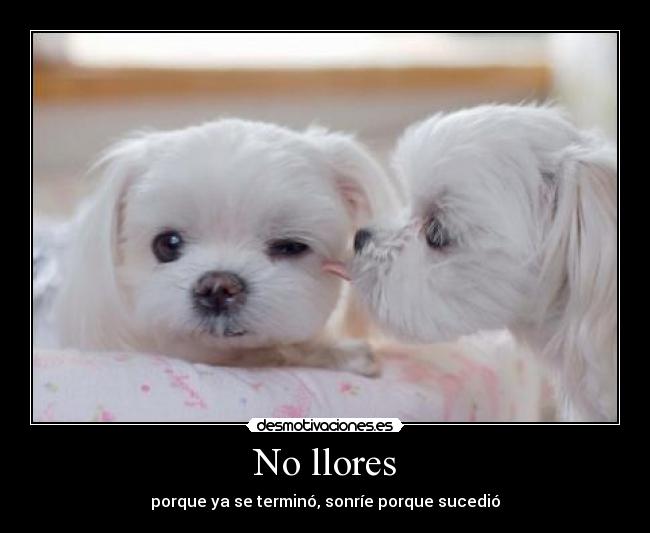 No llores - 