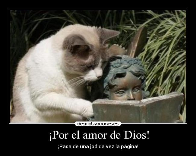 ¡Por el amor de Dios! -