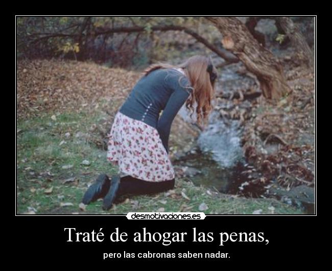 Traté de ahogar las penas, - pero las cabronas saben nadar.