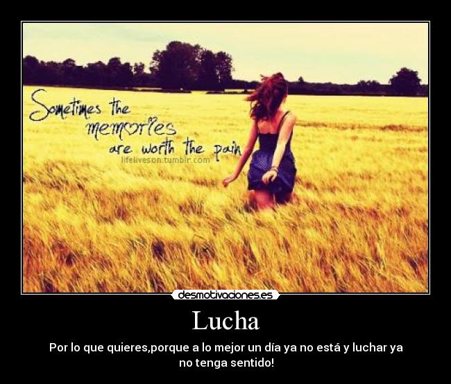 Lucha -
