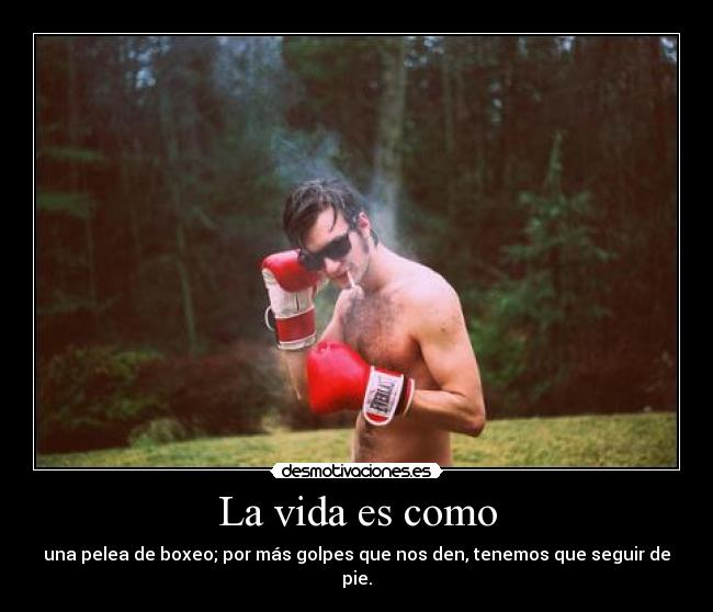 La vida es como - una pelea de boxeo; por más golpes que nos den, tenemos que seguir de pie.