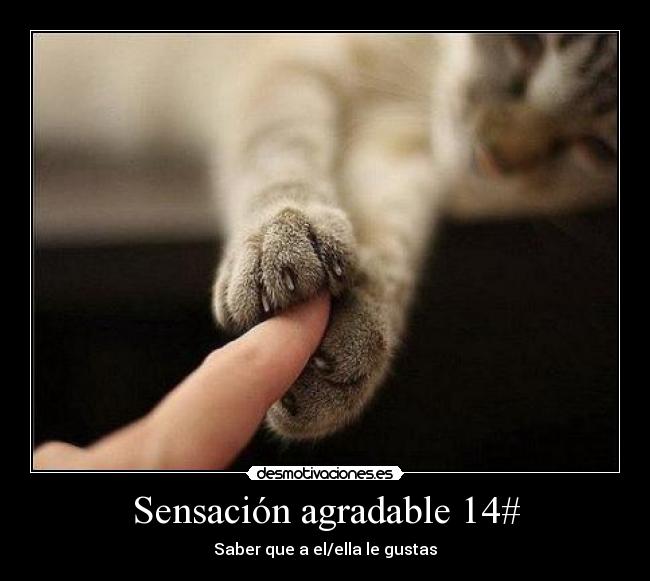 Sensación agradable 14# -