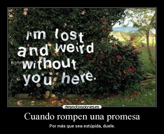 Cuando rompen una promesa -