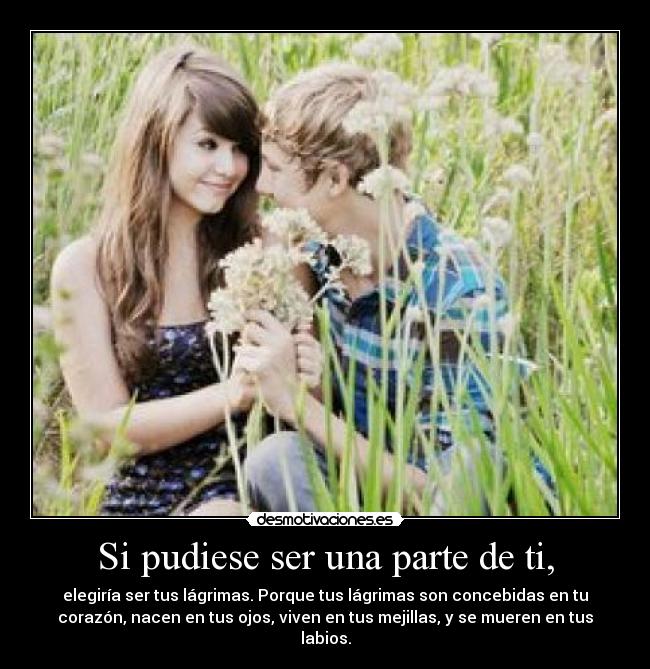 Si pudiese ser una parte de ti, - 
