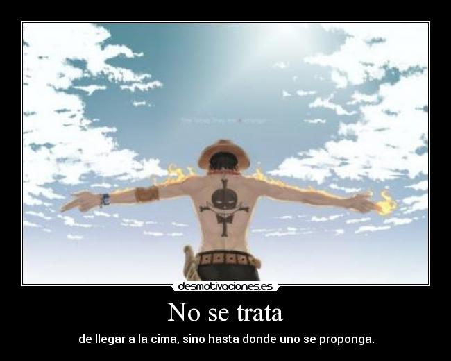 carteles one piece ace desmotivaciones