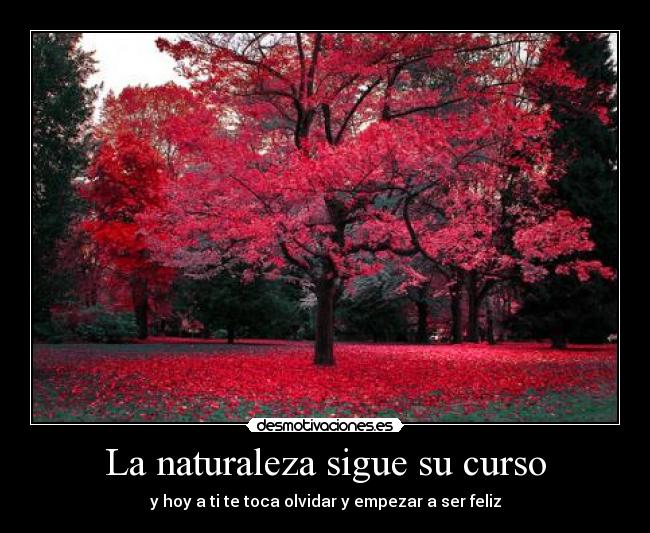 La naturaleza sigue su curso - 