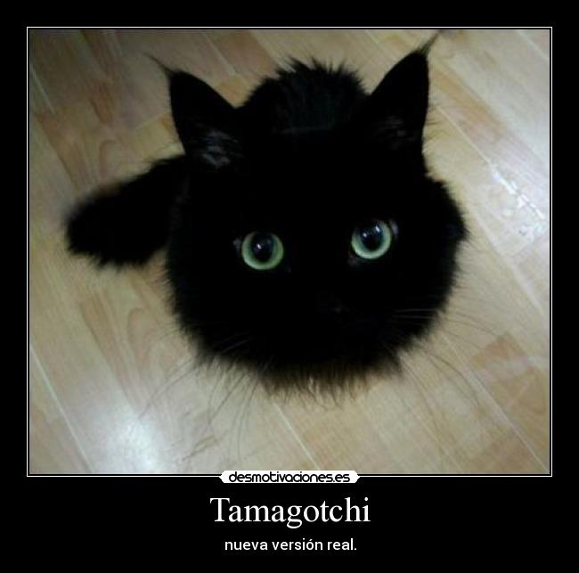 Tamagotchi - nueva versión real.